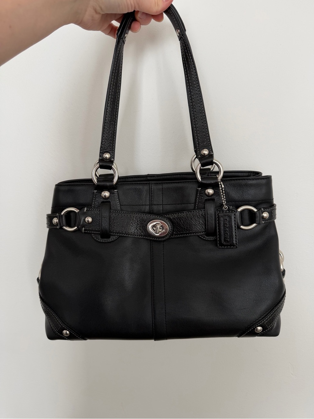 EUC Coach Carly Carryall